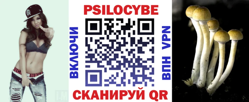 Галлюциногенные грибы мицелий  купить наркотики сайты  Северобайкальск 