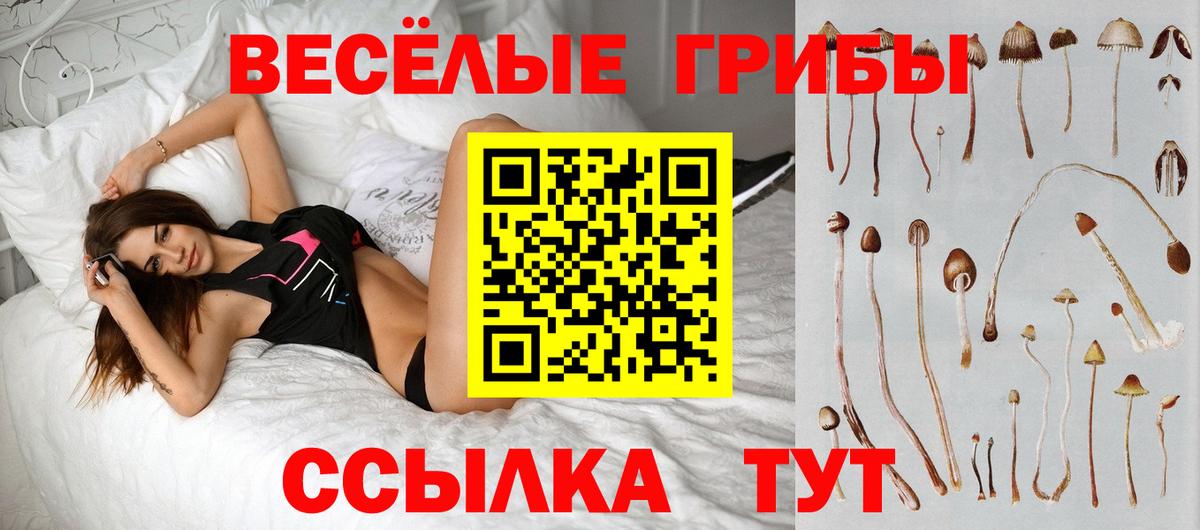 Галлюциногенные грибы MAGIC MUSHROOMS Северобайкальск