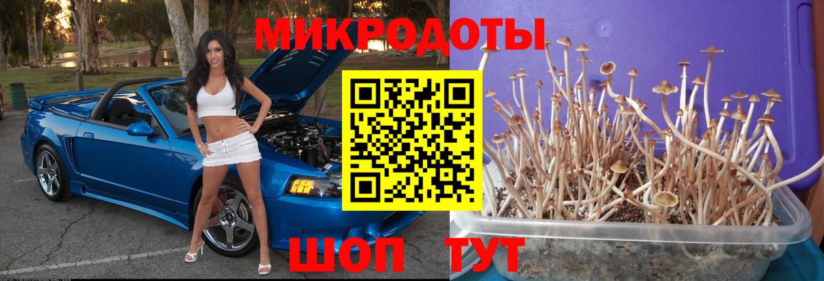 Галлюциногенные грибы прущие грибы  цена   Северобайкальск  Вход с VPN 